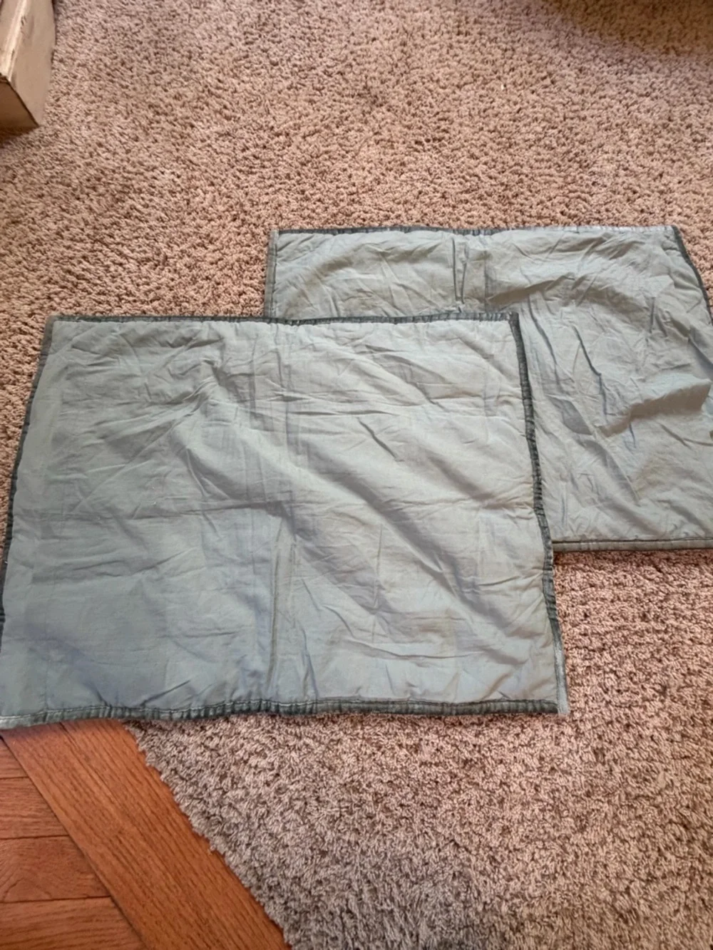 New Anthropologie set of 2 lustered velvet Alastair pillow shams moss blue green